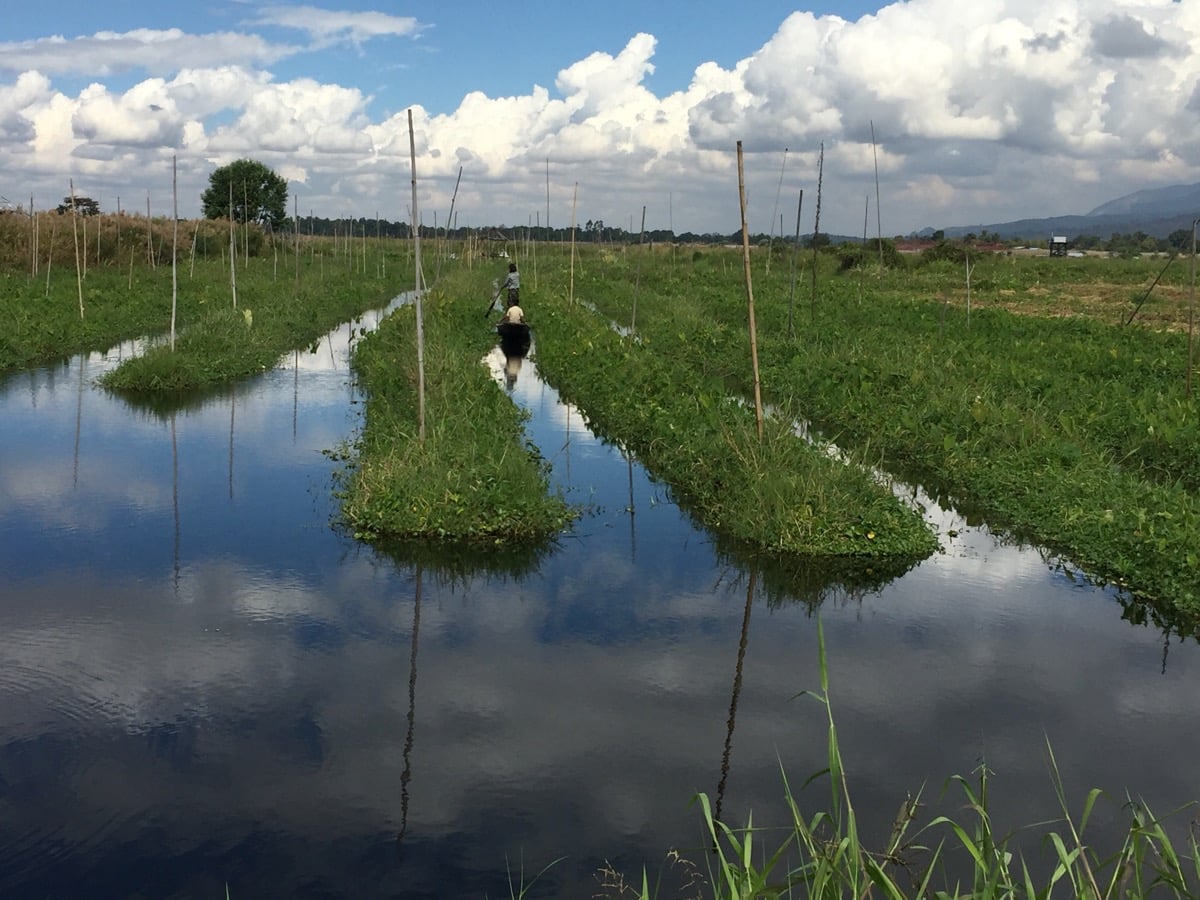 An den Floating Garden vorbei am Inle See
